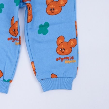 초코푸들토들긴소이지웨어