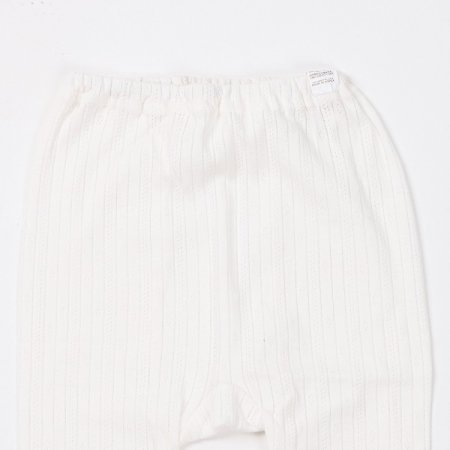 베어비긴소내의