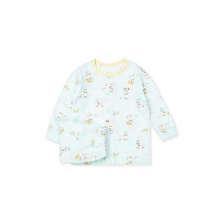 레인오로리긴소내의