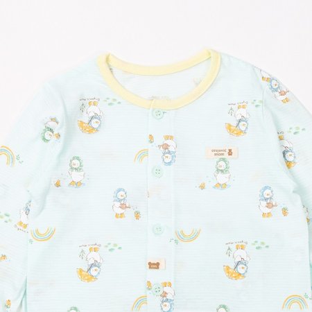 레인오로리긴소내의