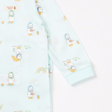 레인오로리긴소내의