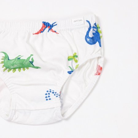 쥬라기남아브리프