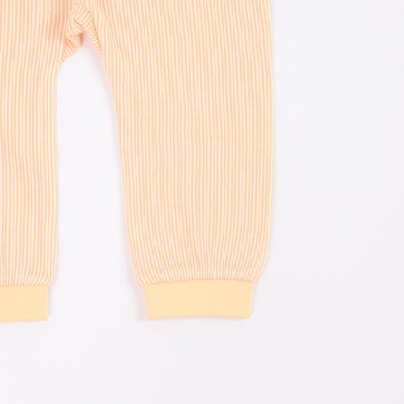 옐로도담긴소내의1