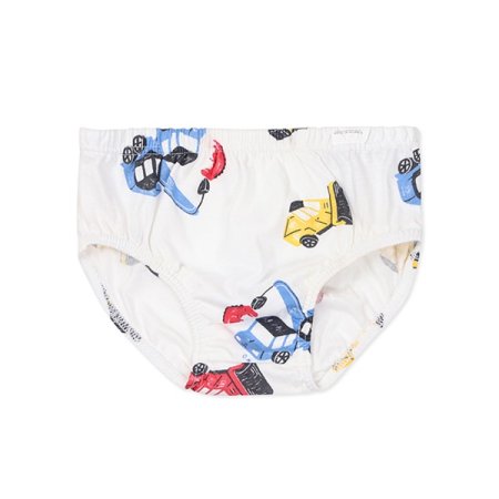 마유남아브리프