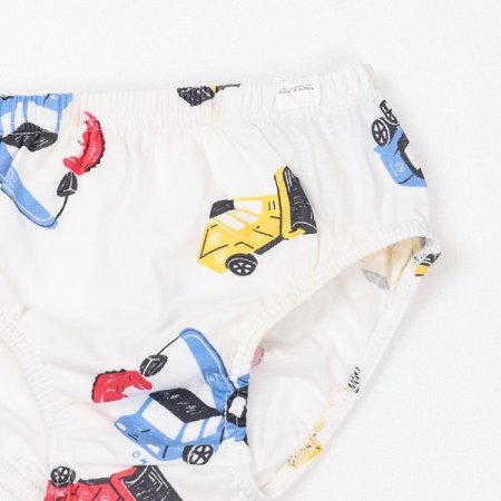 마유남아브리프