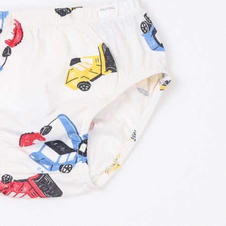 마유남아브리프