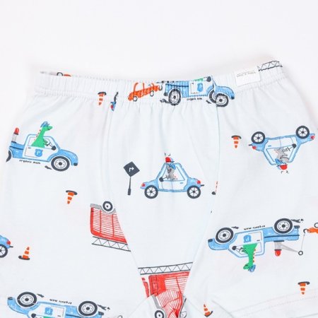 폴리블남아드로즈