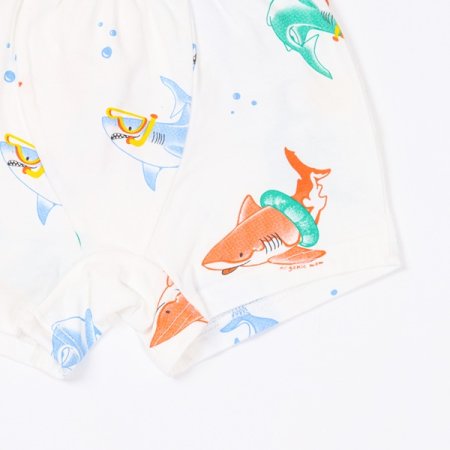 레이샥남아드로즈