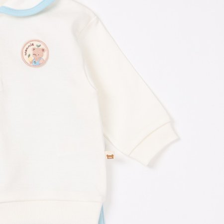 센트긴소이지웨어