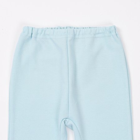 센트긴소이지웨어