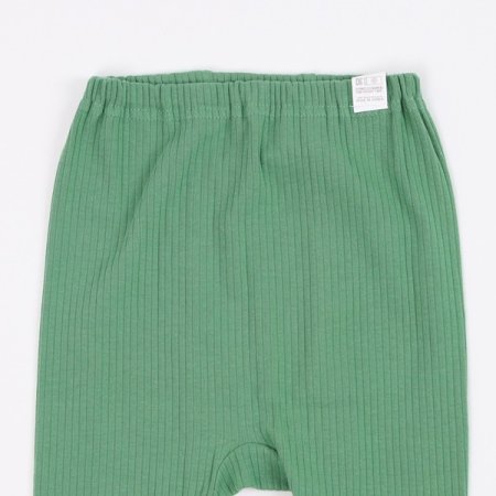 그리니긴소내의