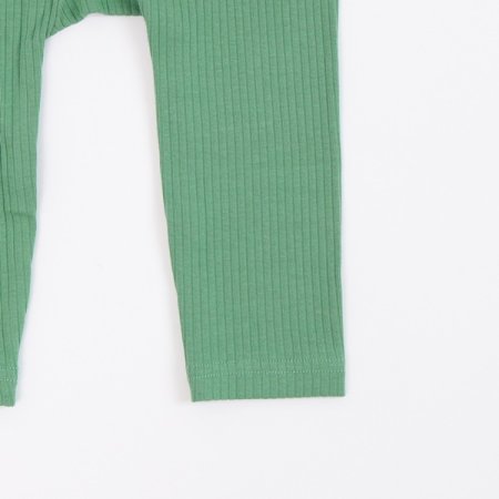 그리니긴소내의