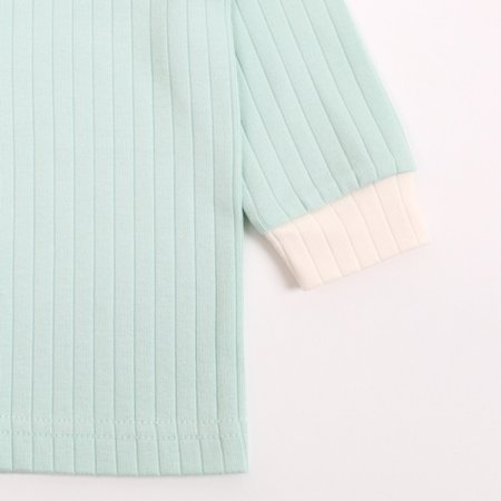 로나리긴소내의