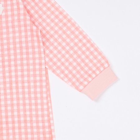 코코니긴소내의