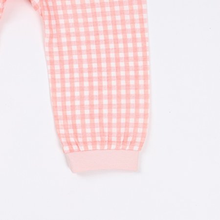 코코니긴소내의