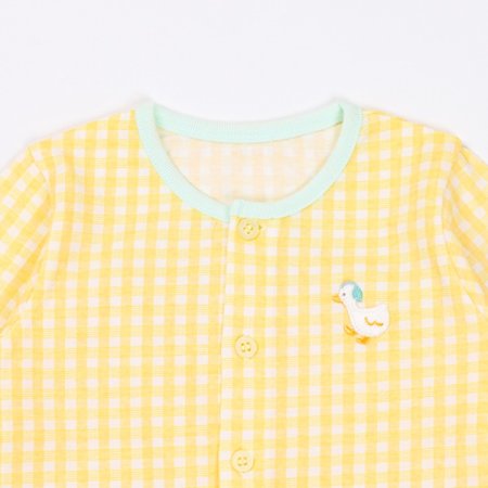 레모니긴소내의