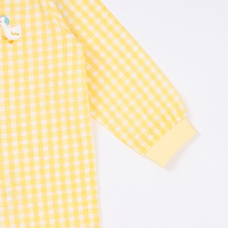 레모니긴소내의