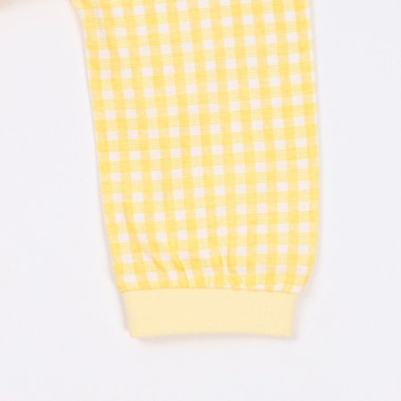 레모니긴소내의