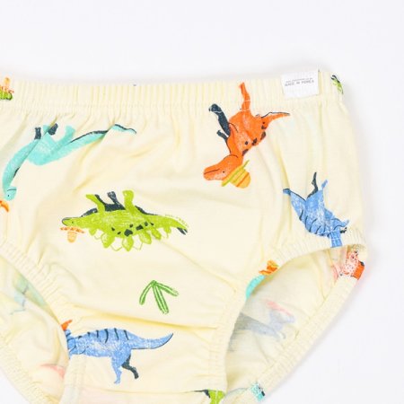 멕시디노남아브리프