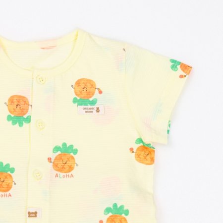 파인로하반소내의