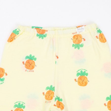 파인로하반소내의