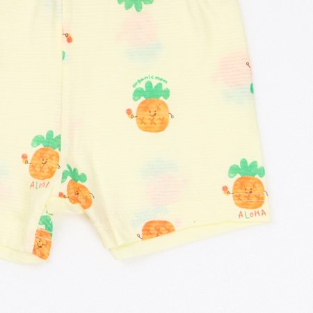 파인로하반소내의