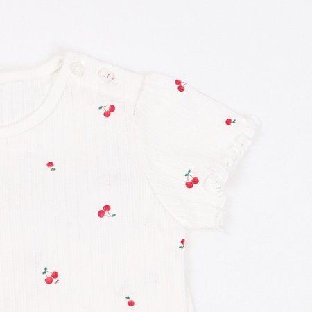 로지나반소내의