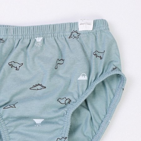 오가닉맘 미니디노남아브리프