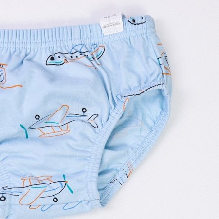 포드남아브리프