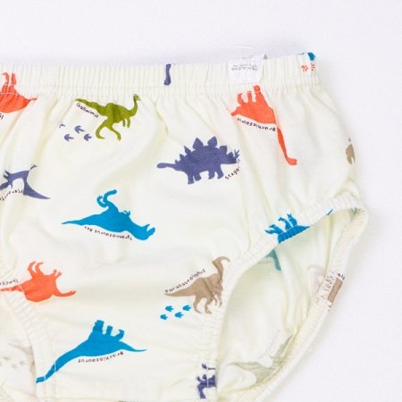 마이디노남아브리프