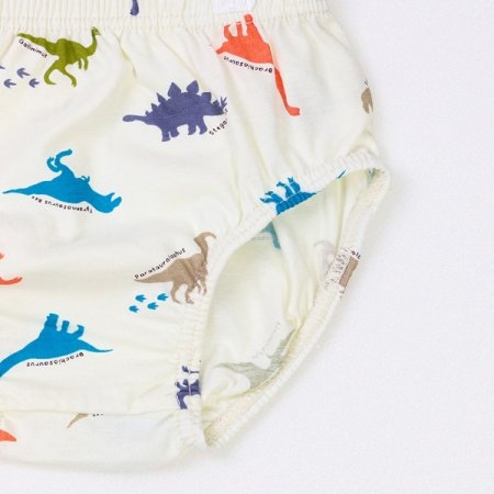 마이디노남아브리프