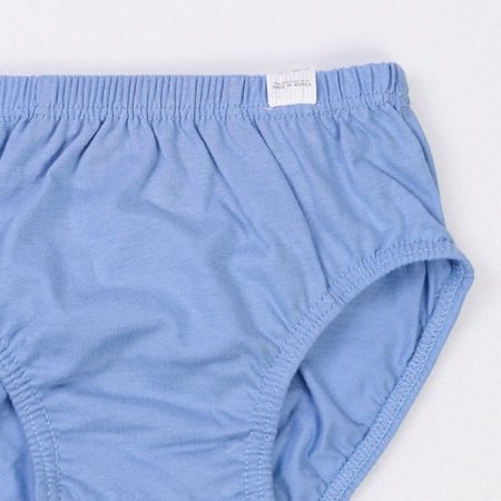 블릿남아브리프