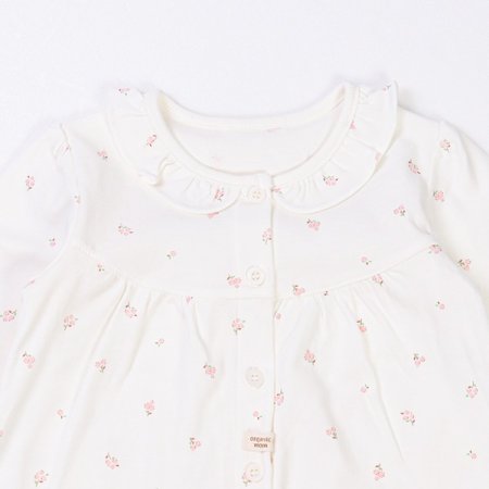 로일리긴소내의