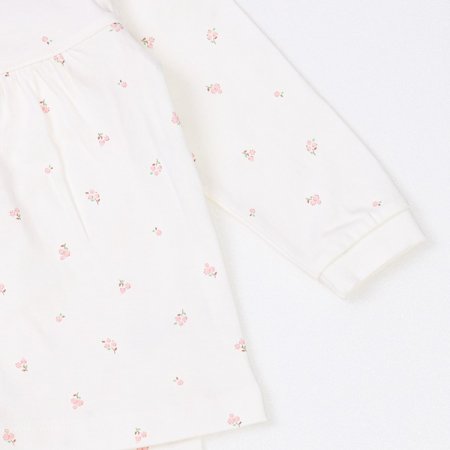 로일리긴소내의