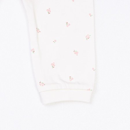 로일리긴소내의