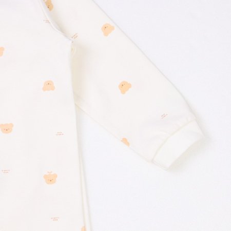 코코워니긴소내의