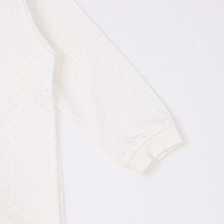 도트니긴소내의