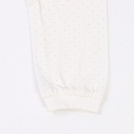 도트니긴소내의