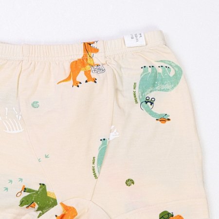 디션모달남아드로즈