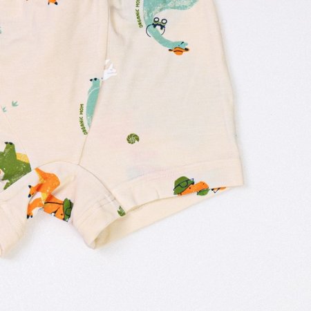 디션모달남아드로즈