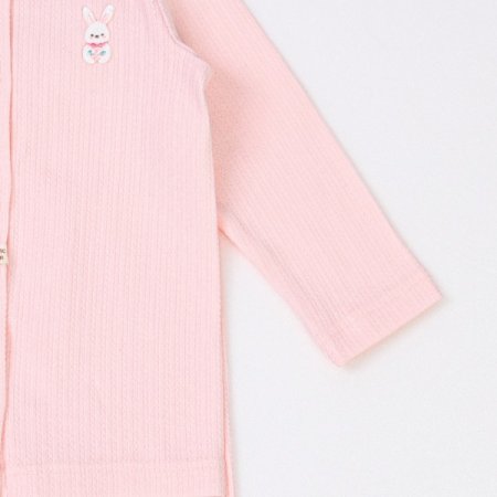 포메리긴소내의