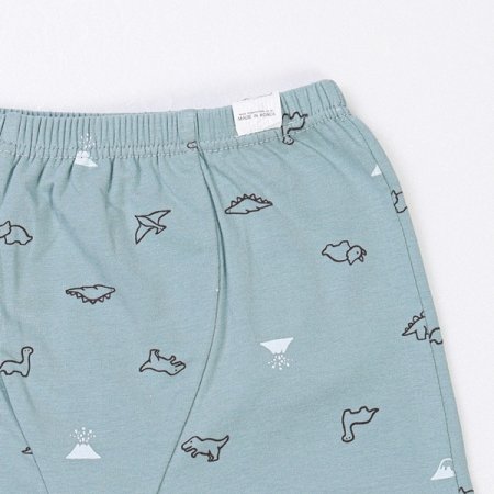 미니디노남아드로즈