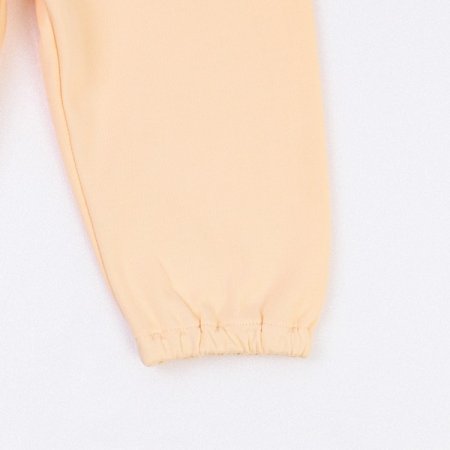 테라긴소이지웨어