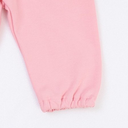 핑테라긴소이지웨어 