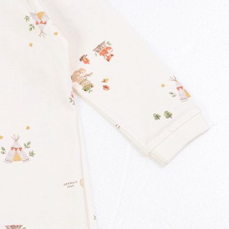 캠프워니긴소내의