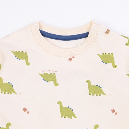 다이노긴소이지웨어 