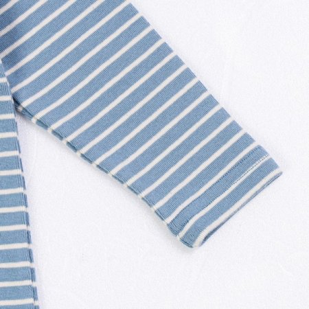 스카이폴라긴소티