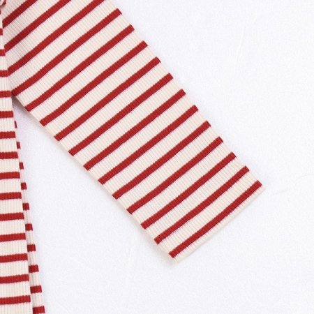 레스트긴소내의