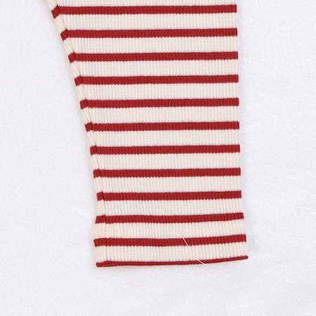 레스트긴소내의