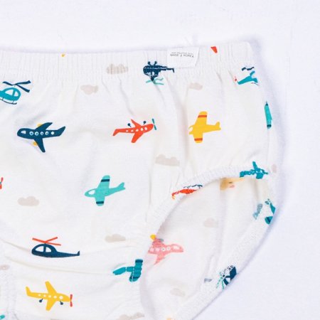 플린남아브리프